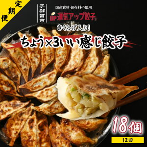 【ふるさと納税】【定期便12回】宇都宮餃子 運気アップ餃子 ちょう×3いい感じ餃子(18個×12回 合計216個)【ぎょうざ ギョウザ ギョーザ 冷凍食品 冷凍餃子 惣菜 夜ご飯 おかず おつまみ 手