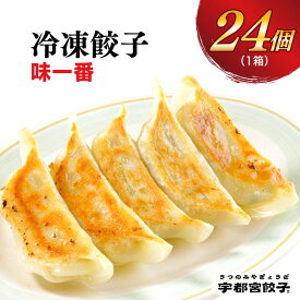 【ふるさと納税】宇都宮餃子【味一番】餃子 24個入り｜餃子 ぎょうざ ギョウザ ギョーザ 冷凍食品 冷凍餃子 惣菜 夜ご飯 おかず おつまみ 手軽 時短 お取り寄せ グルメ 送料無料 栃木県 宇都宮市