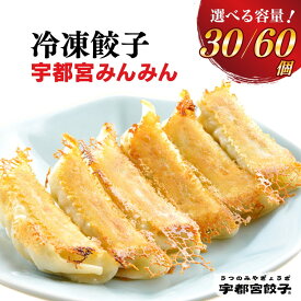 【ふるさと納税】【選べる内容量】宇都宮餃子【宇都宮みんみん】餃子 ◇｜餃子 ぎょうざ ギョウザ ギョーザ 冷凍食品 冷凍餃子 惣菜 夜ご飯 米 おかず おつまみ 手軽 時短 お取り寄せ グルメ 送料無料 栃木県 宇都宮市