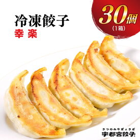 【ふるさと納税】宇都宮餃子【幸楽】餃子 30個入り【ぎょうざ ギョウザ ギョーザ 冷凍食品 冷凍餃子 惣菜 夜ご飯 おかず おつまみ 手軽 時短 お取り寄せ グルメ 送料無料 栃木県 宇都宮市】※配送不可地域：離島