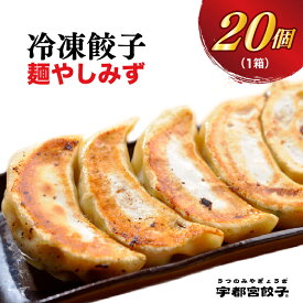 【ふるさと納税】【麺やしみず】餃子 20個入り【ぎょうざ ギョウザ ギョーザ 冷凍食品 冷凍餃子 惣菜 夜ご飯 おかず おつまみ 手軽 時短 お取り寄せ グルメ 送料無料 栃木県 宇都宮市】※配送不可地域：離島