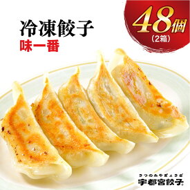 【ふるさと納税】【味一番】餃子24個入り×2箱｜餃子 ぎょうざ ギョウザ ギョーザ 冷凍食品 冷凍餃子 惣菜 夜ご飯 おかず おつまみ 手軽 時短 お取り寄せ グルメ 送料無料 栃木県 宇都宮市
