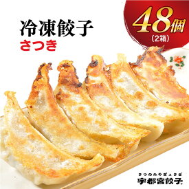【ふるさと納税】【さつき】餃子24個入り×2箱｜餃子 ぎょうざ ギョウザ ギョーザ 冷凍食品 冷凍餃子 惣菜 夜ご飯 おかず おつまみ 手軽 時短 お取り寄せ グルメ 送料無料 栃木県 宇都宮市