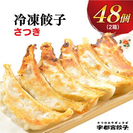 【ふるさと納税】【さつき】餃子 24個入り×2箱【ぎょうざ ギョウザ ギョーザ 冷凍食品 冷凍餃子 惣菜 夜ご飯 おかず おつまみ 手軽 時短 お取り寄せ グルメ 送料無料 栃木県 宇都宮市】※配送不可地域：離島