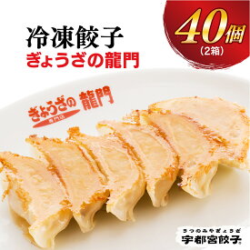 【ふるさと納税】【龍門】餃子 20個入り×2箱【ぎょうざ ギョウザ ギョーザ 冷凍食品 冷凍餃子 惣菜 夜ご飯 おかず おつまみ 手軽 時短 お取り寄せ グルメ 送料無料 栃木県 宇都宮市】※配送不可地域：離島