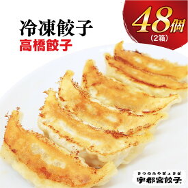 【ふるさと納税】【高橋餃子店】餃子 24個入り×2箱｜餃子 ぎょうざ ギョウザ ギョーザ 冷凍食品 冷凍餃子 惣菜 夜ご飯 おかず おつまみ 手軽 時短 お取り寄せ グルメ 送料無料 栃木県 宇都宮市