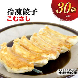 【ふるさと納税】【こむさし】餃子 15個入り×2箱【ぎょうざ ギョウザ ギョーザ 冷凍食品 冷凍餃子 惣菜 夜ご飯 おかず おつまみ 手軽 時短 お取り寄せ グルメ 送料無料 栃木県 宇都宮市】※配送不可地域：離島