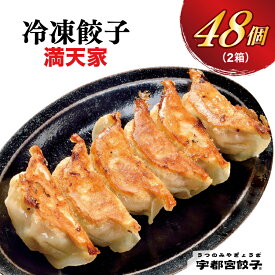 【ふるさと納税】【満天家】餃子 24個入り×2箱｜餃子 ぎょうざ ギョウザ ギョーザ 冷凍食品 冷凍餃子 惣菜 夜ご飯 おかず おつまみ 手軽 時短 お取り寄せ グルメ 送料無料 栃木県 宇都宮市