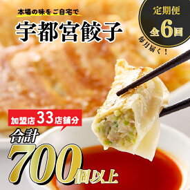 【ふるさと納税】【6ヶ月定期便】宇都宮餃子　32店舗定期便　計700個以上 ｜ ぎょうざ ギョウザ ギョーザ 冷凍食品 冷凍餃子 惣菜 夜ご飯 おかず おつまみ 手軽 時短 お取り寄せ グルメ 送料無料 栃木県 宇都宮市※着日指定不可