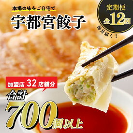 【ふるさと納税】【12ヶ月定期便】宇都宮餃子　32店舗定期便　計700個以上 ｜ ぎょうざ ギョウザ ギョーザ 冷凍食品 冷凍餃子 惣菜 夜ご飯 おかず おつまみ 手軽 時短 お取り寄せ グルメ 送料無料 栃木県 宇都宮市※着日指定不可