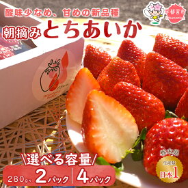 【ふるさと納税】【選べる容量】朝摘み とちあいか 280g 2パック または 4パック | いちご 栃木 甘い 糖度 旬 新鮮 フルーツ 果物 アレンジ スイーツ いちごジャム フルーツサンド ※離島への配送不可 ※2026年1月～3月頃に順次発送予定