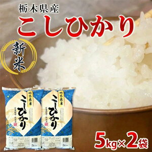 yӂ邳Ɣ[Łzyߘa7NYzȖ،YЂ10kgiāE5kg×2܁j@ւ̔zs