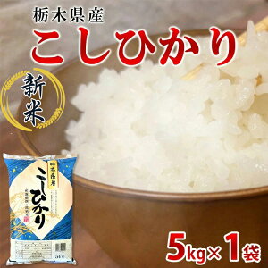 【ふるさと納税】【令和7年産】栃木県産こしひかり(精米・5kg×1袋) ※離島への配送不可