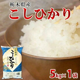 【ふるさと納税】【令和7年産】栃木県産こしひかり（精米・5kg×1袋）　※離島への配送不可