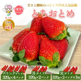 【ふるさと納税】【先行予約】【選べる内容】とちおとめ ご家庭用グランデサイズ(約1.2kg)、3Lサイズ(640g)、定期便 | いちご 苺 イチゴ フルーツ 果物 国産 新鮮 甘い フルーツ スイーツ いちごジャム ※離島への配送不可