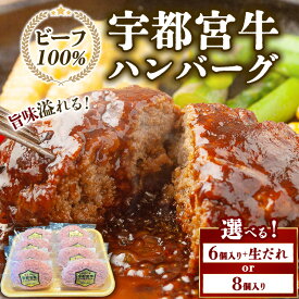 【ふるさと納税】【選べる内容量】宇都宮牛ハンバーグ 150g 6個＋生だれ/8個