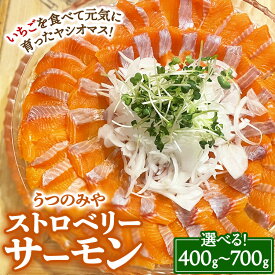 【ふるさと納税】【選べる容量】うつのみやストロベリーサーモン（400g～700g）【楽天限定】 ｜ 鮭 サケ サク 冷凍 解凍 魚 海鮮 魚介 刺身 いちご 栃木県 宇都宮市 ※2025年12月上旬～3月上旬頃に順次発送予定