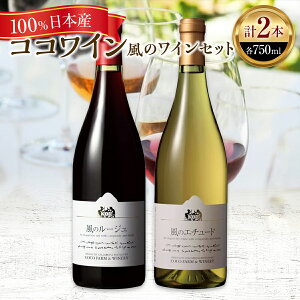 yӂ邳Ɣ[ŁzRRC / ̃CZbgy YC {C {YC   C 킢 WINE Zbg CZbg  Ȗ، s Y {Y z F7Z-008