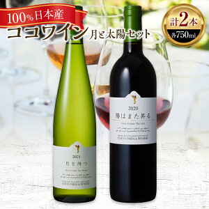yӂ邳Ɣ[ŁzRRC/ƑzZbgy YC {C {YC   C 킢 WINE Zbg CZbg  Ȗ، s Y {Y z F7Z-009