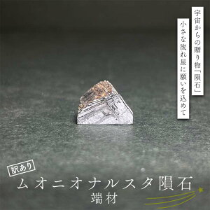 yӂ邳Ɣ[ŁzIjIiX^覐 󂠂 F7Z-1325