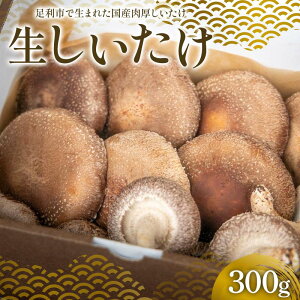 yӂ邳Ɣ[ŁzYۏ 300g Y  ő Ȗ F7Z-1352