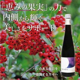 【ふるさと納税】濃縮サンザシ500ml瓶　(3倍希釈タイプ)【 ギフト プレゼント お中元 お歳暮 贈答品 栃木県 足利市 】 F7Z-1370