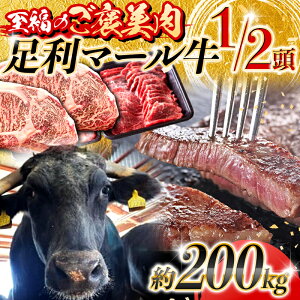 【至福のご褒美肉】足利マール牛1/2頭! 約200kg F7Z-1652