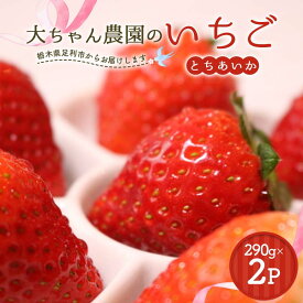 【ふるさと納税】いちごの県フレッシュいちご 大ちゃん農園のいちご(とちあいか)290g×2パック いちご イチゴ 苺 デザート フルーツ 果物 くだもの 果実 食品 F7Z-1718