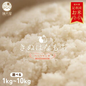 yӂ邳Ɣ[Łz_Iׂeʁ^ߘa7N sY ̂肿  (ʂ͂Ȃ) 1kg 2kg 5kg 10kg ͔|Ԓ _E엿sgp     Hi _  2025N N  VN 