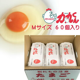 【ふるさと納税】パワードエッグ力丸くん　Mサイズ60個　〈12月受付分は翌年1月以降の発送となります〉【コクのあるおいしい卵　鶏の健康とたまごのおいしさに徹底的にこだわりました 栃木県 足利市 】