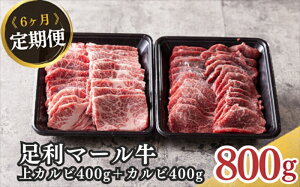 yӂ邳Ɣ[Łz_꒼I}[@Jr400g/Jr400g6ցy  Ⓚ  O  Jr Jr a Mtg  Ε ̓ ̓ hV̓ Ȗ