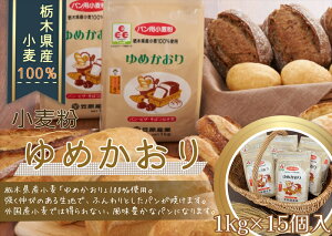yӂ邳Ɣ[ŁzyȖ،Yz߂1 kg×15y ͏ pp͕ pp    p Hp z[x[J[ pޗ p ނ   ς P