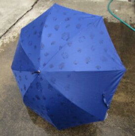 【ふるさと納税】とち介の雨日和～雨の日が楽しみになる傘～(長傘)