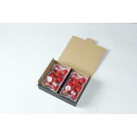 【ふるさと納税】【2025年12月下旬～発送】谷中農園のいちご「 とちあいか 」約280g入（一粒約22g以上、5～9粒入り）×2パック | 果物 フルーツ いちご 栃木 ブランド 栃木県【フルーツ 果物 くだもの 食品 人気 おすすめ 】