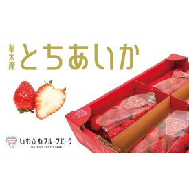 【ふるさと納税】【先行予約】栃木市岩舟産とちあいか【フルーツ 果物 くだもの 食品 人気 おすすめ 】