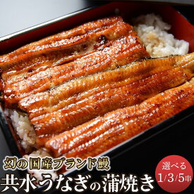 【ふるさと納税】幻の国産ブランド鰻　共水うなぎのかば焼き　1串（約115g）／3串（約115g×3）／5串（約115g×5）　タレ・山椒付き　極上の甘みとうまみ、ふっくらとした食感【鰻 魚介類 水産 食品 人気 おすすめ 】 | 甘み うまみ ふっくら 食感 鰻 蒲焼き 蒲焼