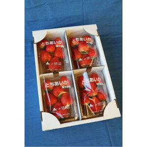 yӂ邳Ɣ[Łzy2026N2ȍ~zJAȖ؎sYƂ@260g×4pbNyt[c ʕ  Hi lC  z | t[c ʕ  Hi lC  