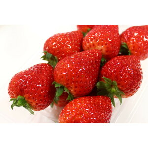 yӂ邳Ɣ[Łzy2026N1{`3{\zȖؖȖ؎śuƂv280g×2pbNyt[c ʕ  Hi lC  z