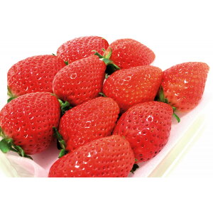 yӂ邳Ɣ[Łzy2026N1{`3{\zIIȖ؎śuXJCx[v1V[g280g×2pbNyt[c ʕ  Hi lC  z