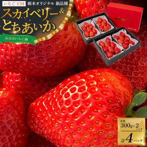 yӂ邳Ɣ[ŁzÂđ傫IJ삢 XJCx[  Ƃ Zbg v4pbN | ʕ t[c  Ȗ uh Ȗ،yt[c ʕ  Hi lC  