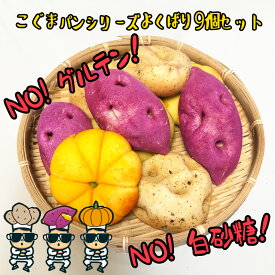 【ふるさと納税】【江南スタイル】こぐまパンシリーズよくばり9個セット ｜サツマイモパン ジャガイモパン　カボチャパン コグマパン カムジャパン ホバクパン 手作り 菓子パン 冷凍パン おやつ 詰め合わせ 個包装 栃木市 栃木県