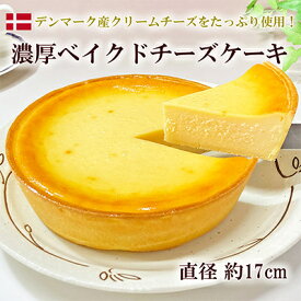 【ふるさと納税】濃厚ベイクドチーズケーキ 1ホール(約620g)【配送不可地域：離島】【1120422】