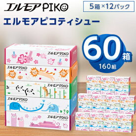 【ふるさと納税】エルモアピコティシュー160組5箱×12パック(60箱)【離島・沖縄県不可】_ ティッシュ ティッシュペーパー 日用品 消耗品 まとめ買い 常備品 生活用品 ボックスティッシュ 【配送不可地域：離島・沖縄県】【1240650】