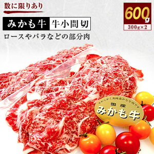 yӂ邳Ɣ[Łzu݂vԐ600g(300g×2)yzsnFzy1257310z
