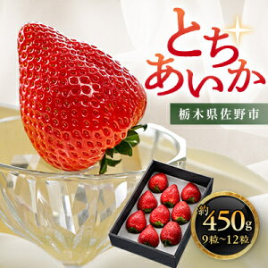 yӂ邳Ɣ[ŁzȖ،  ViyƂz 9`12 450gyzsnFzy1258710z