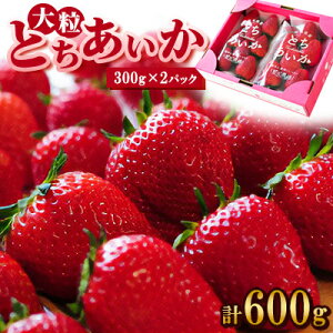 yӂ邳Ɣ[ŁzytC`Sz 嗱wƂx(300g×2pbN)yzsnFEꌧzy1284042z
