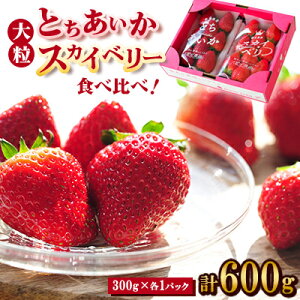 yӂ邳Ɣ[ŁzytC`Sz Hה!嗱wXJCx[xAwƂx300g×1pbNyzsnFzy1290960z