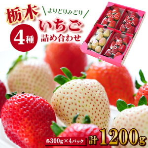 yӂ邳Ɣ[Łzyt zȖ؂̂4lߍ킹Zbg!(300g×4pbN)yzsnFzy1290961z