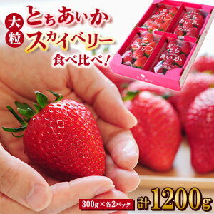 yӂ邳Ɣ[ŁzytC`Sz Hה!嗱wXJCx[xAwƂx300g×2pbNyzsnFzy1291781z