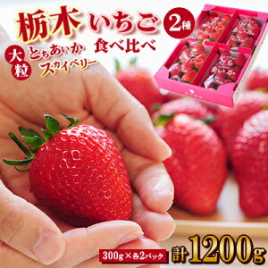 yӂ邳Ɣ[Łz!Ȗ؃C`S2(XJCx[EƂ)嗱 Hה׃Zbg (300g×4pbN)_   t[c ʕ  XJCx[ Ƃ Ȗ 2 Zbg lC 